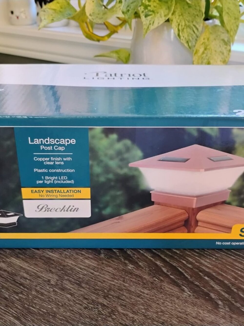 Patriot Lighting Brecklin Solar LED Landscape Post Caps - 2 Pack